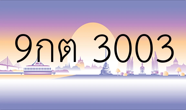 9กต 3003